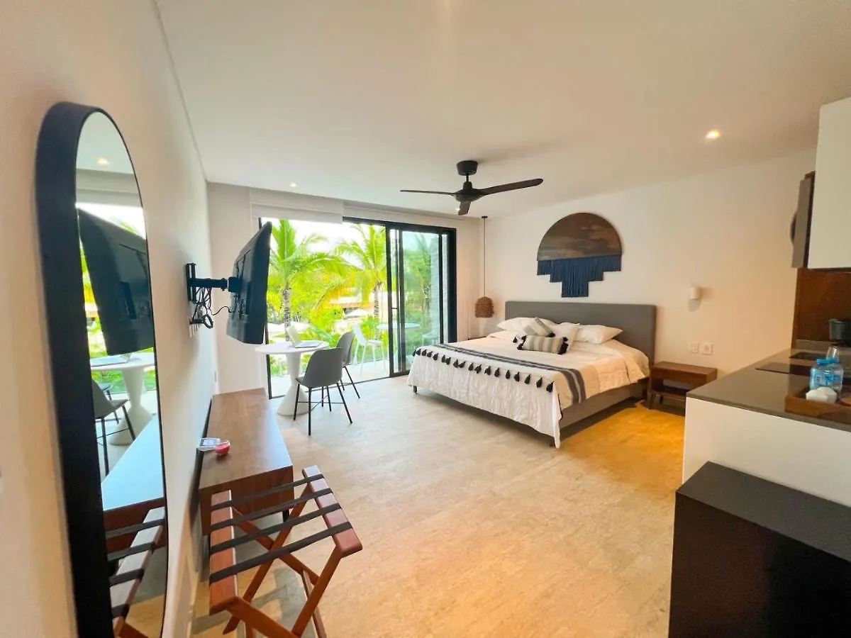 Estudio Jaguar Tulum Central Park Lagunas contacts